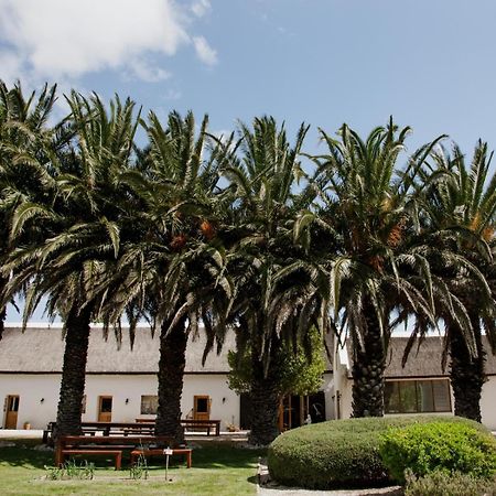 Hotel Springfontein Wine Estate Stanford Esterno foto