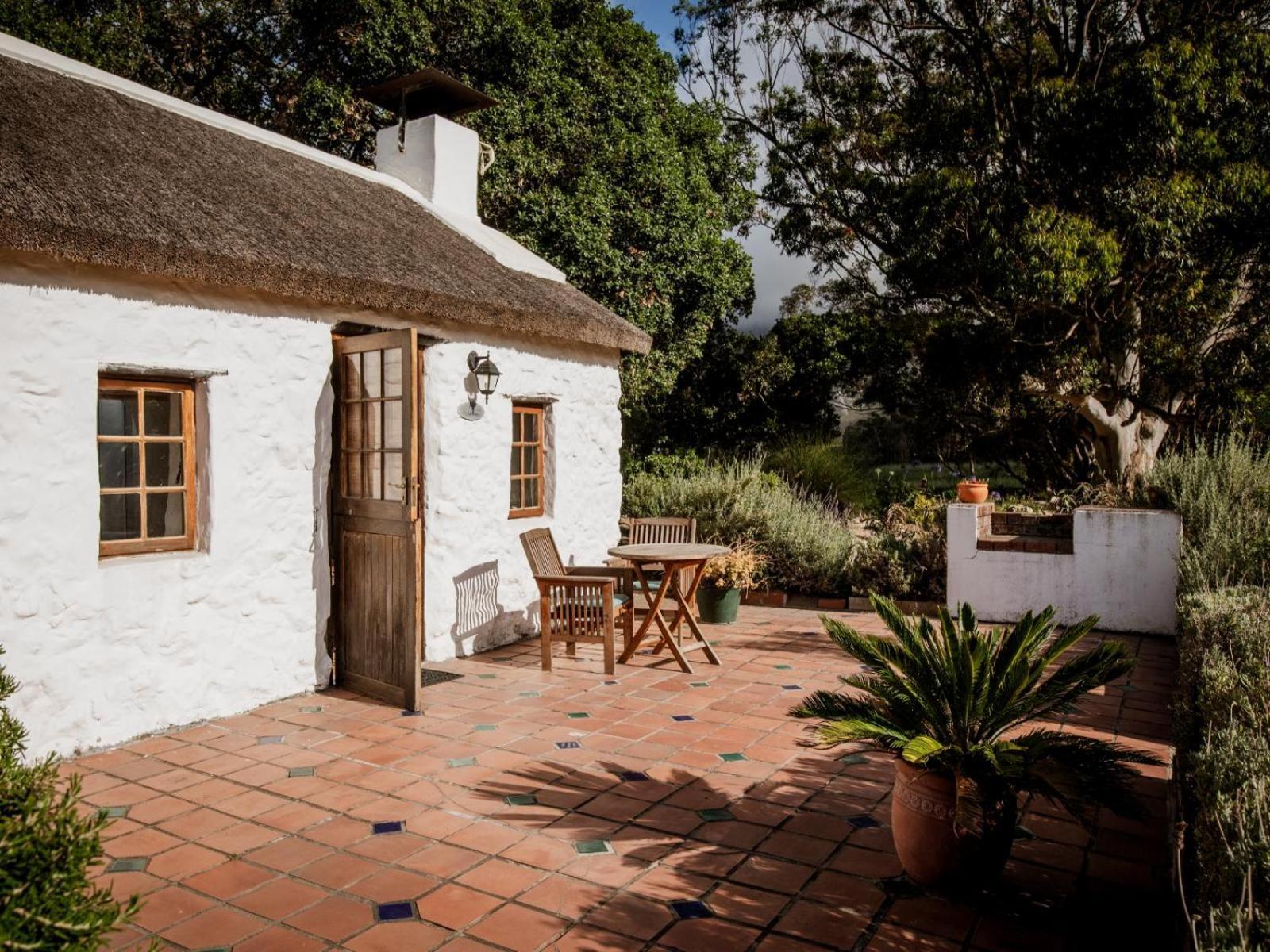 Hotel Springfontein Wine Estate Stanford Esterno foto