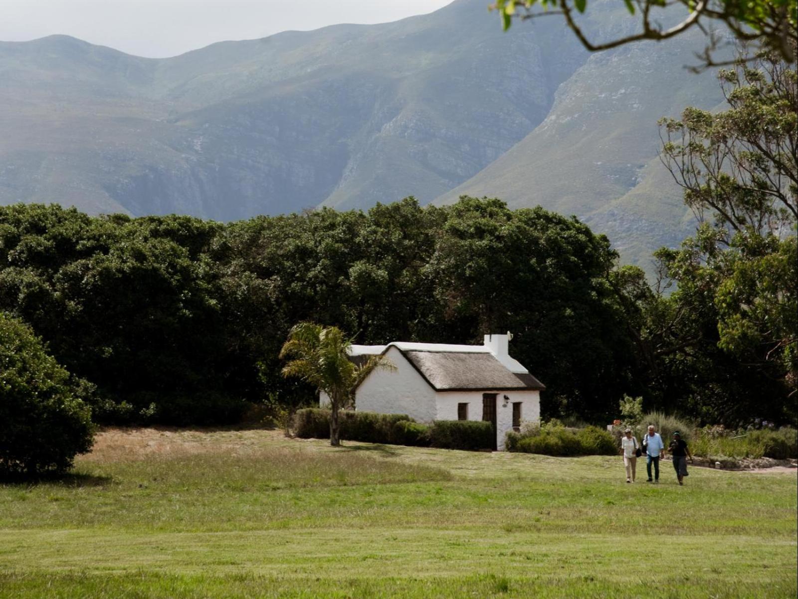 Hotel Springfontein Wine Estate Stanford Esterno foto